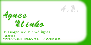 agnes mlinko business card